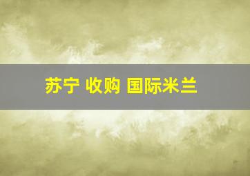 苏宁 收购 国际米兰